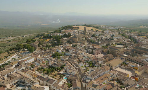 Oleoturismo olivar Baeza