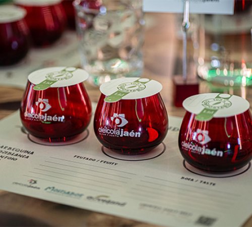 Qué hacer con niños en Úbeda