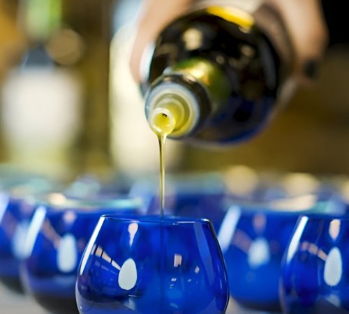 La cata de aceite de oliva virgen extra
