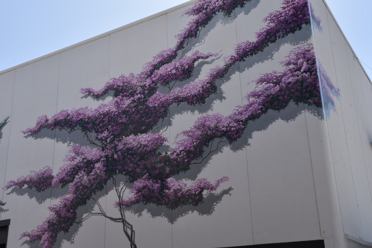 El olivo en el arte contemporáneo