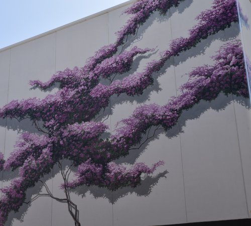 El olivo en el arte contemporáneo