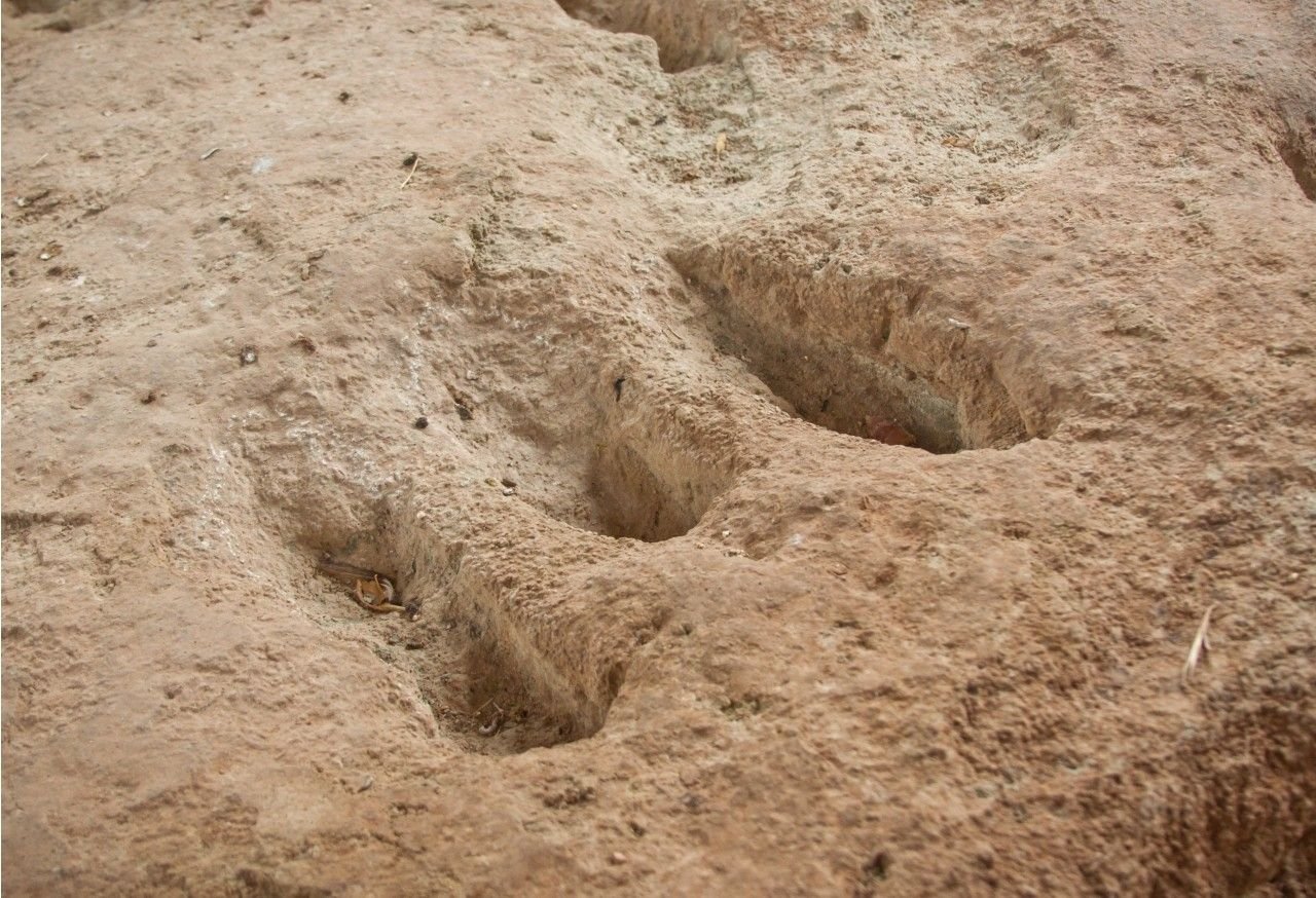 Huella de dinosaurio de Sanesteban del puerto