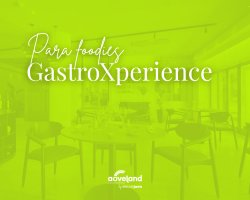 AOVEland <span>GastroXperience</span>