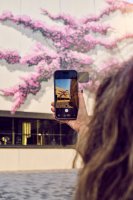 Olive Mill ENGLISH Tour & Tasting